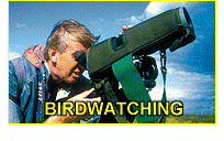 birdwatching.gif