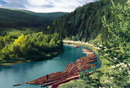 bucovina.jpg